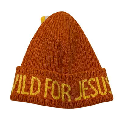 Hatphile Wild for Jesus Dino Kid Knit Hat Beanie Toque 1-3T